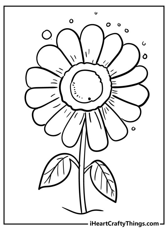 Coloring printable for kids showing a daisy flower with simple large petal crown and two leaves