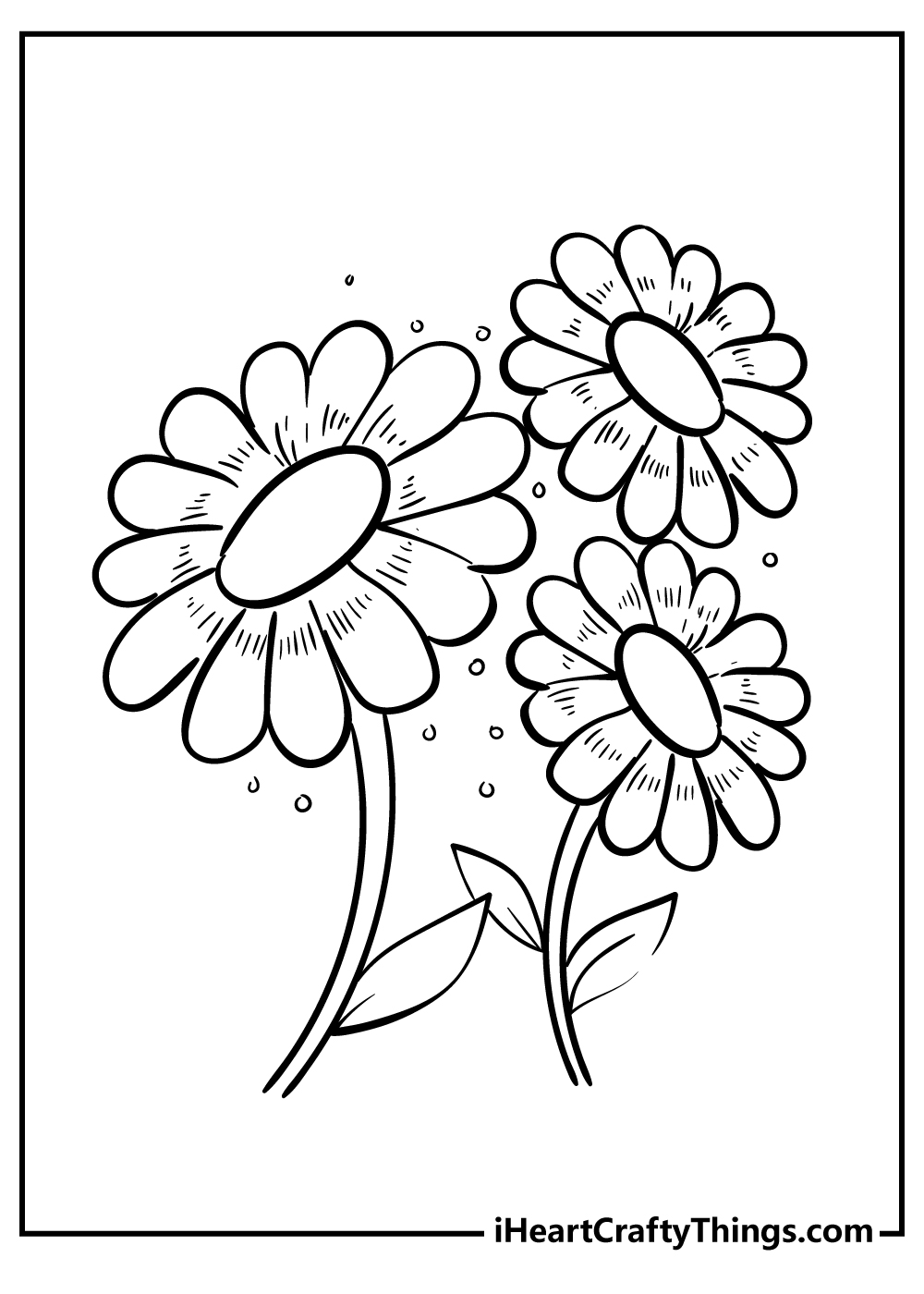 daisy flower garden coloring page