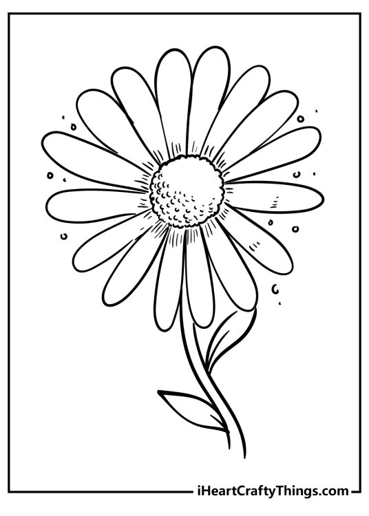 Free printable for pre-schoolers depicting a flower with large and simple petals
