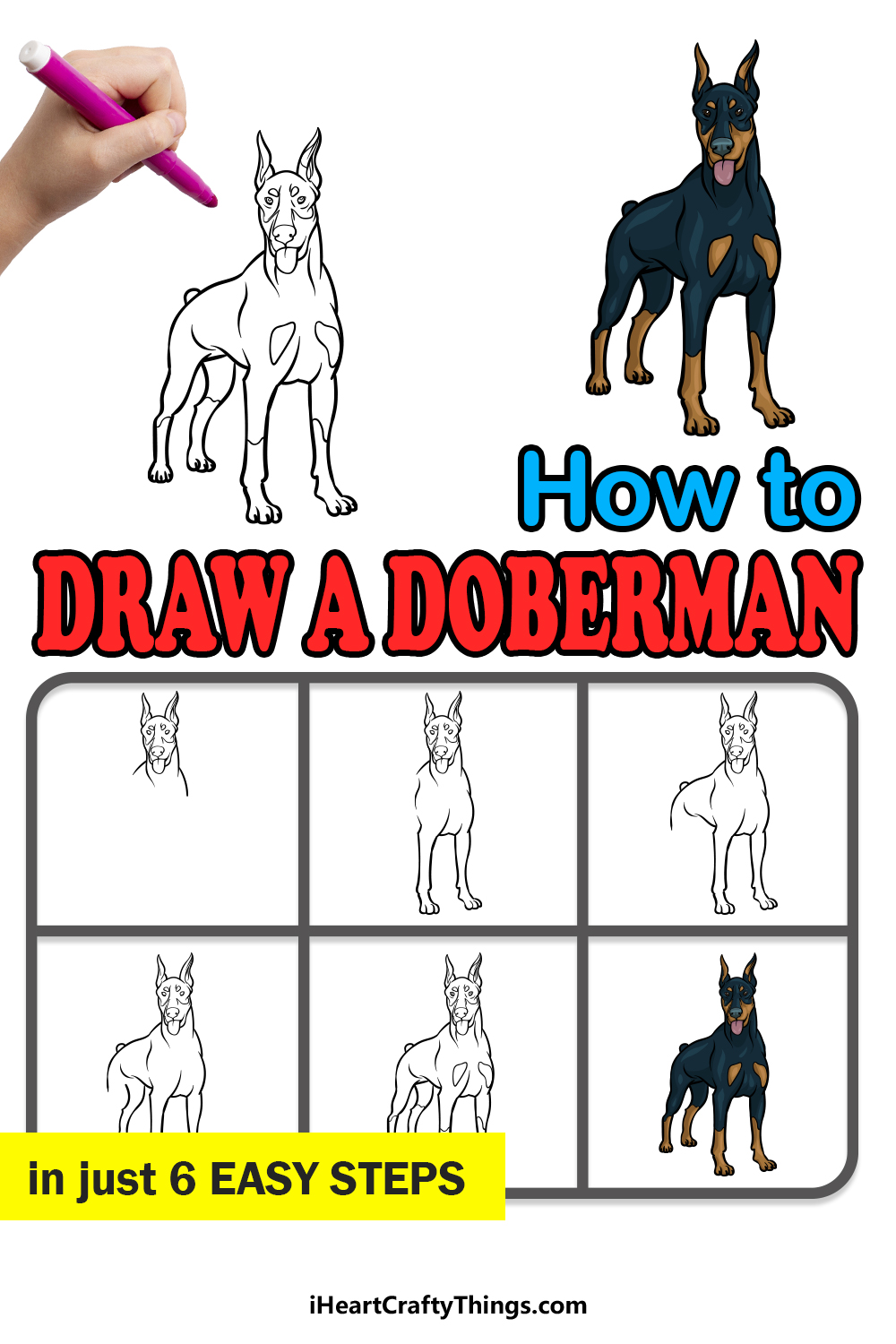 how to draw a Dobermann in 6 easy steps