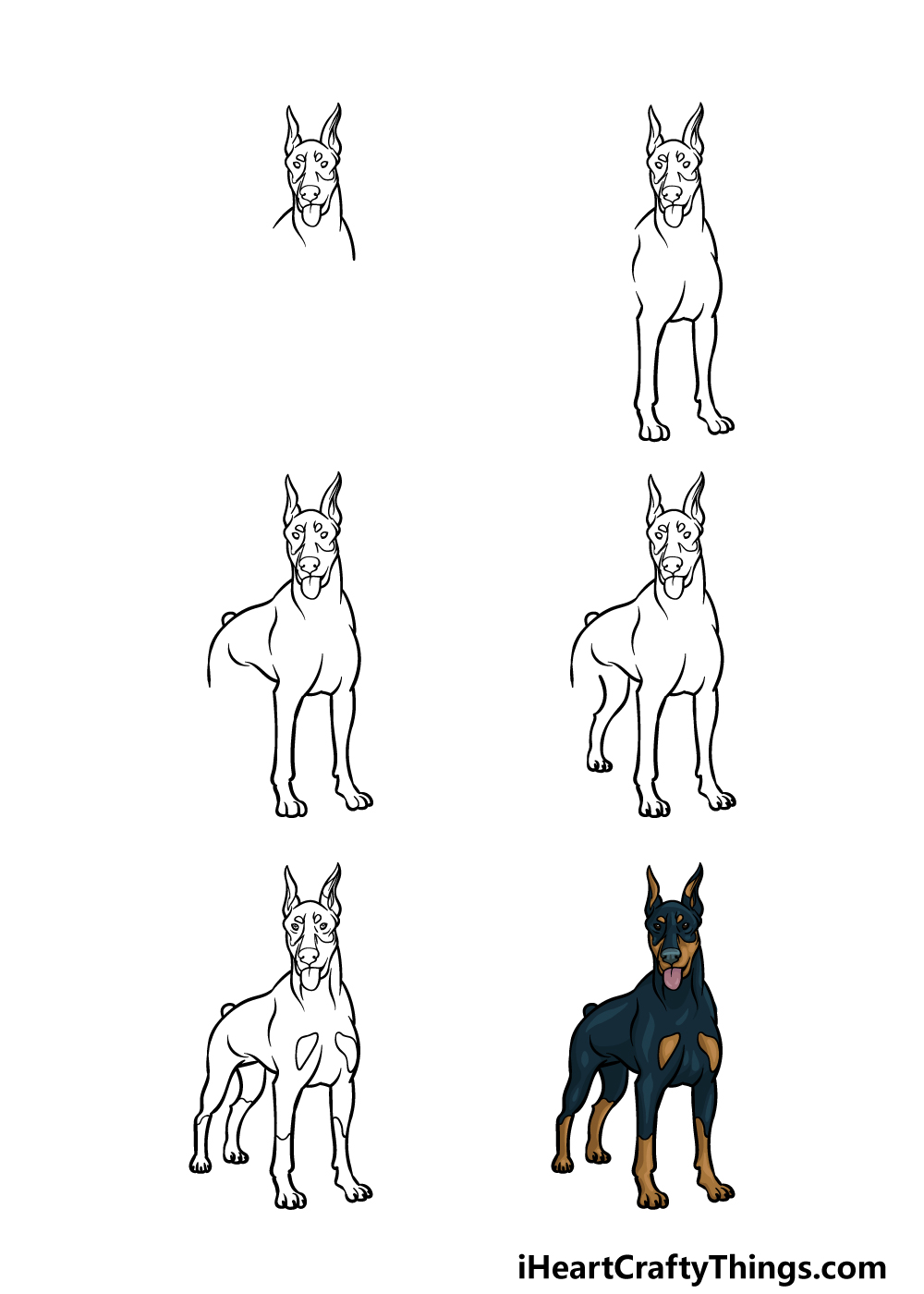 how to draw a Doberman in 6 steps