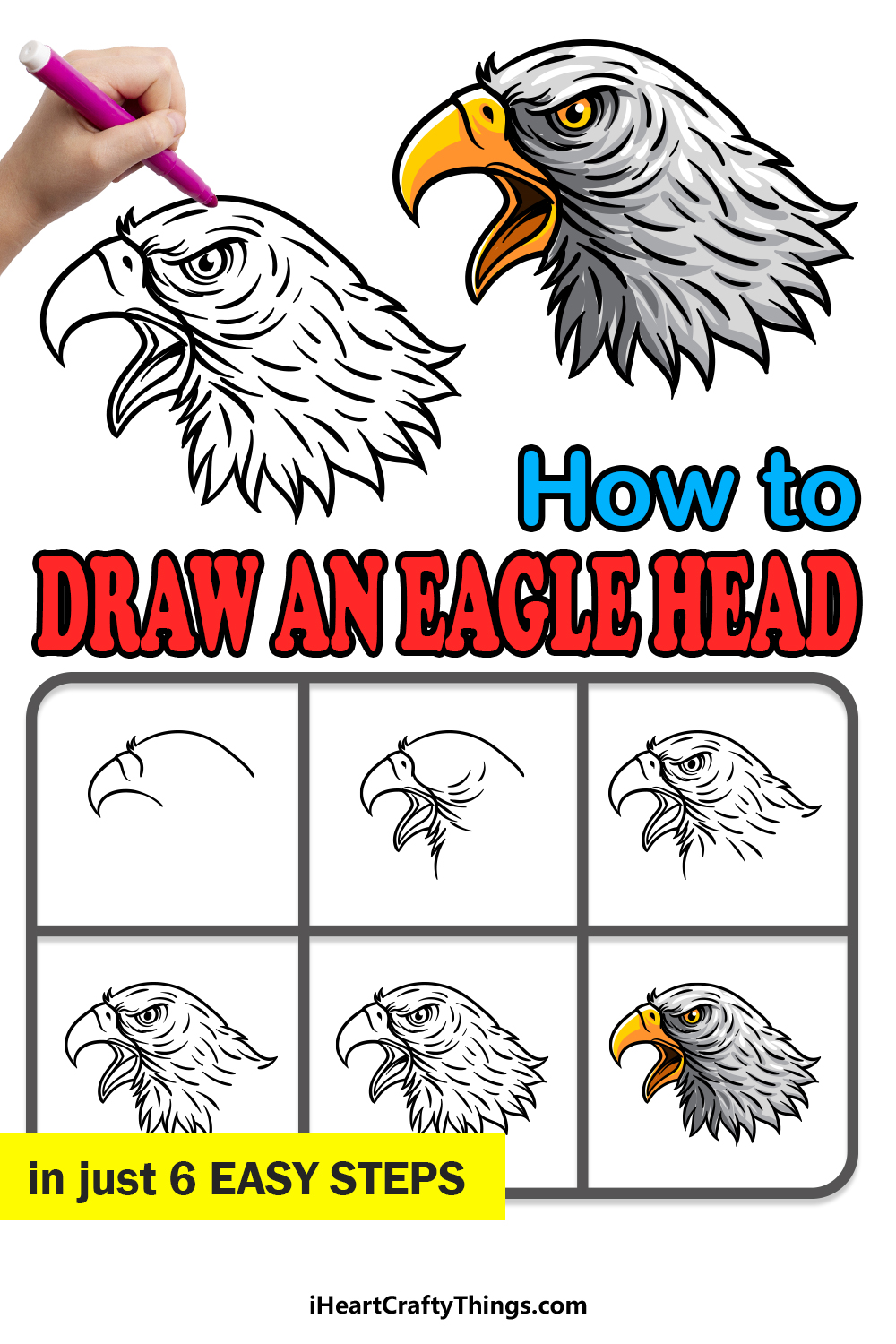 how to draw an Eagle Head in 6 easy steps