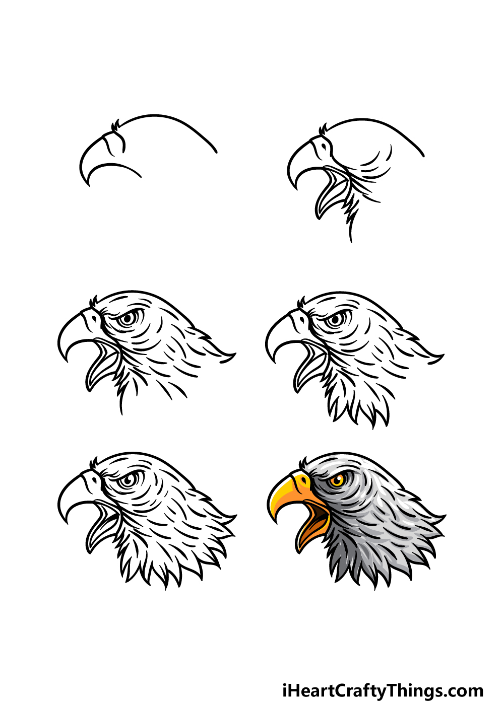 how to draw an Eagle Head in 6 steps