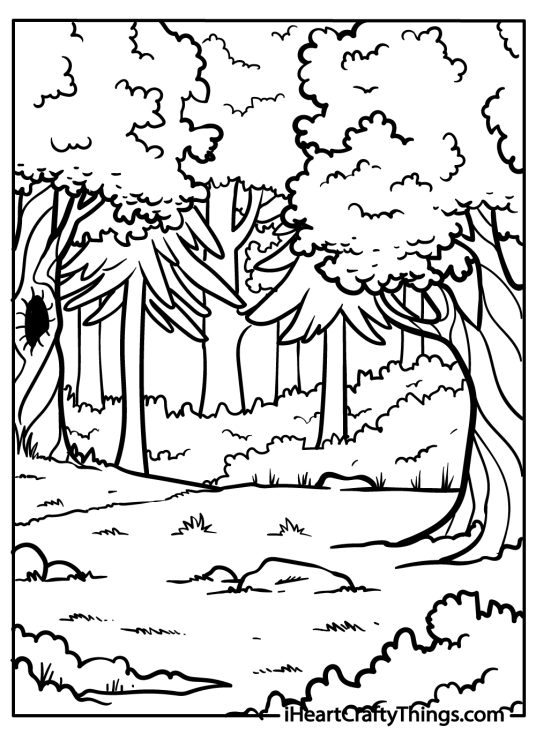 Forest Coloring Pages (100% Free Printables)