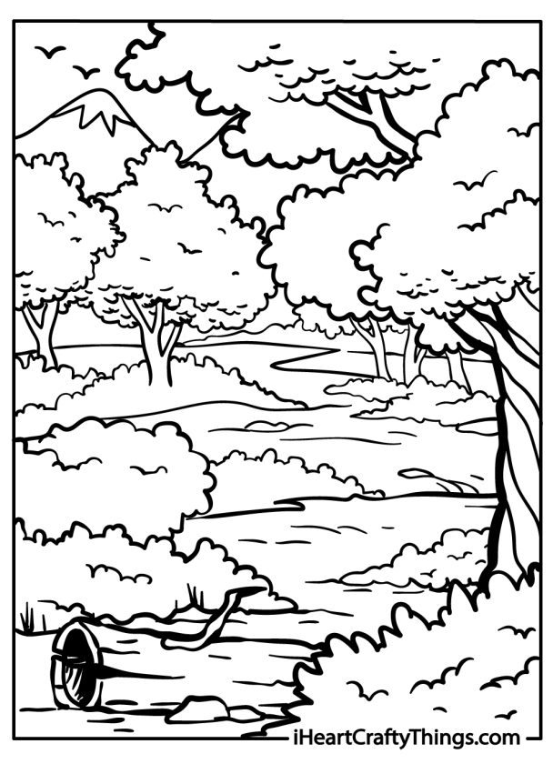 Forest Coloring Pages (100% Free Printables)