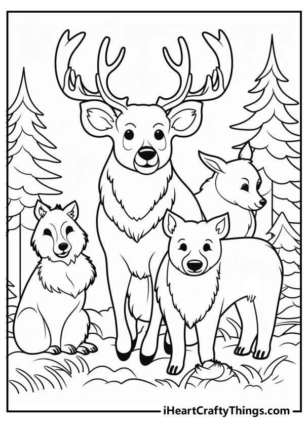 15 Forest Animals Coloring Pages (100 Free Printables)