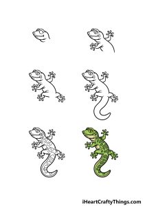 Gecko Drawing - How To Draw A Gecko Step By Step