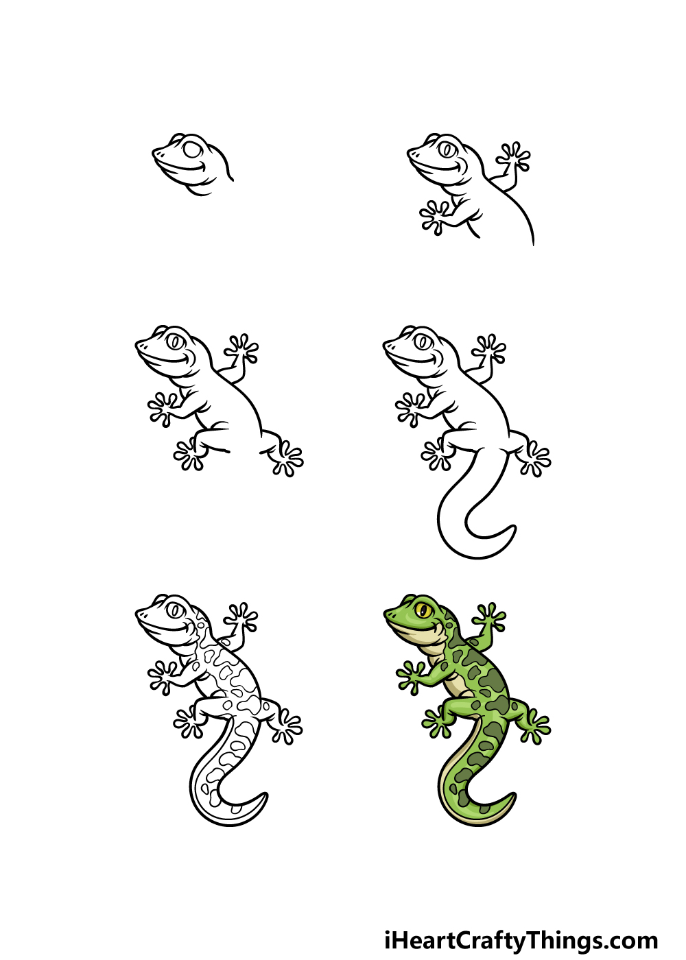 how to draw a Gecko in 6 steps