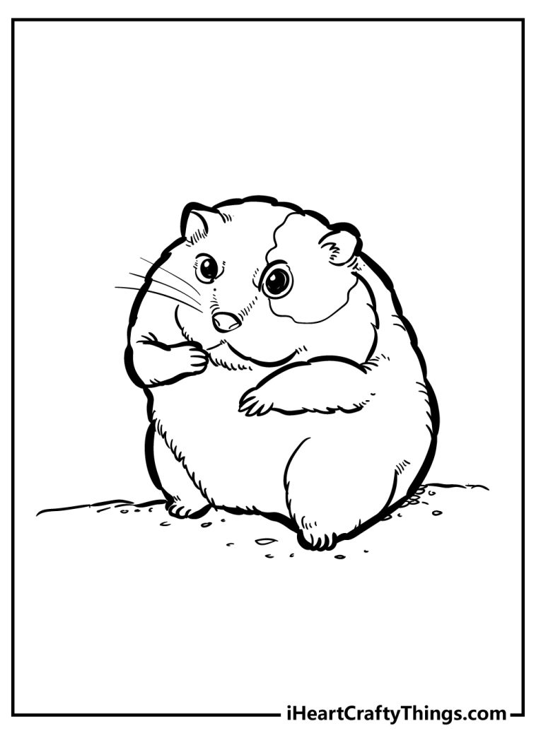 Hamster Coloring Pages (100% Free Printables)