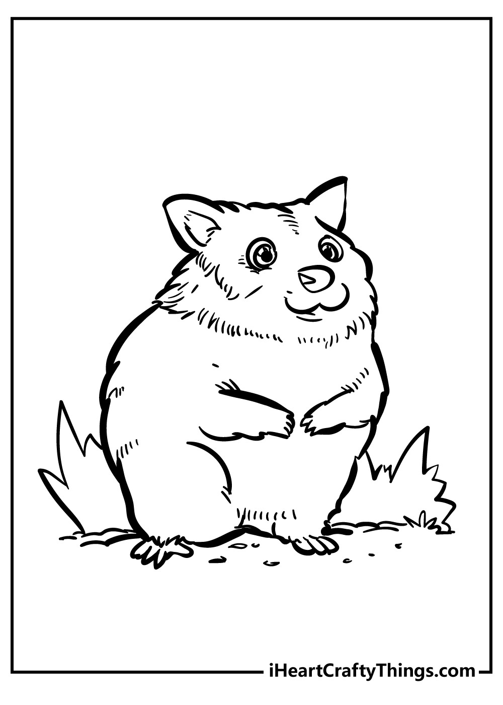 Hamster Coloring Pages for adults free printable
