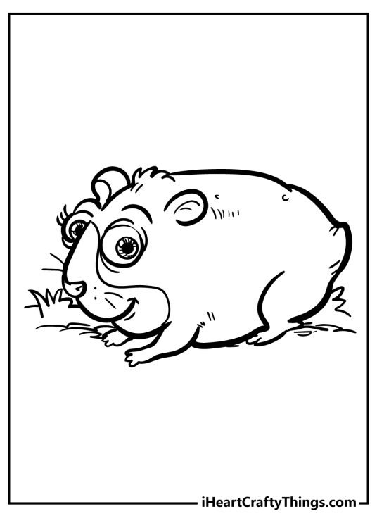 15 Hamster Coloring Pages (100% Free Printables)