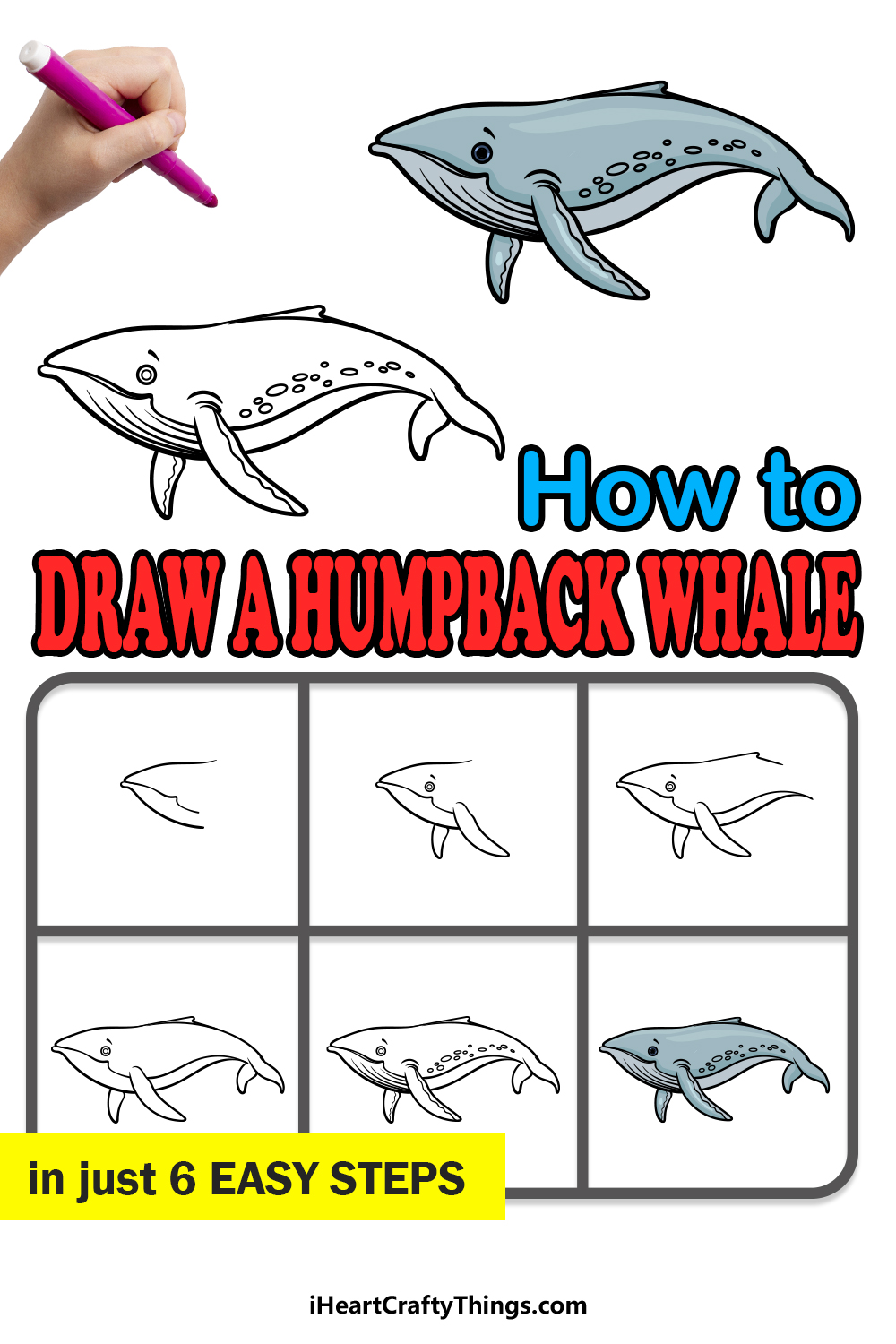 how to draw a Humpback Whale in 6 easy steps