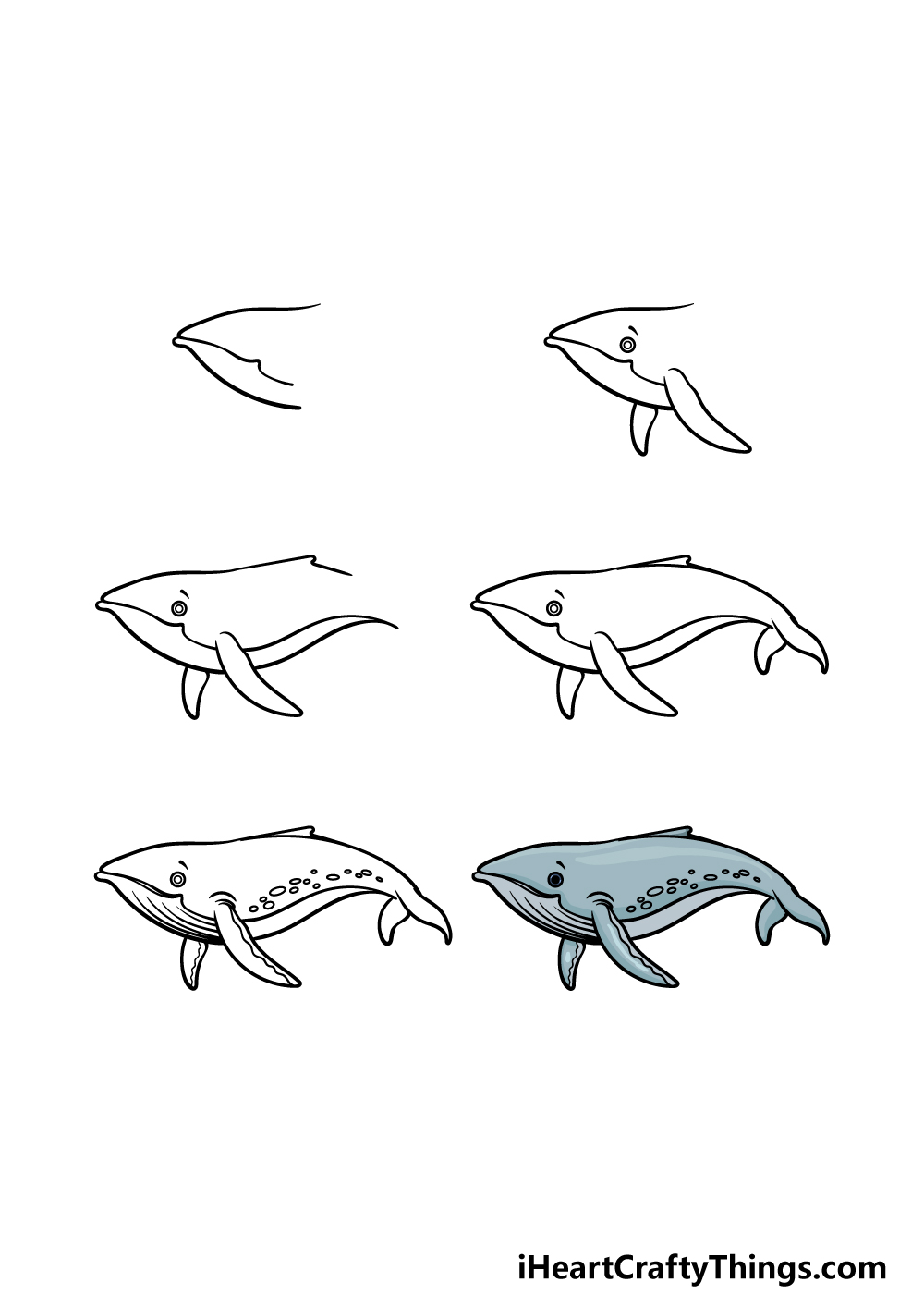 how to draw a Humpback Whale in 6 steps