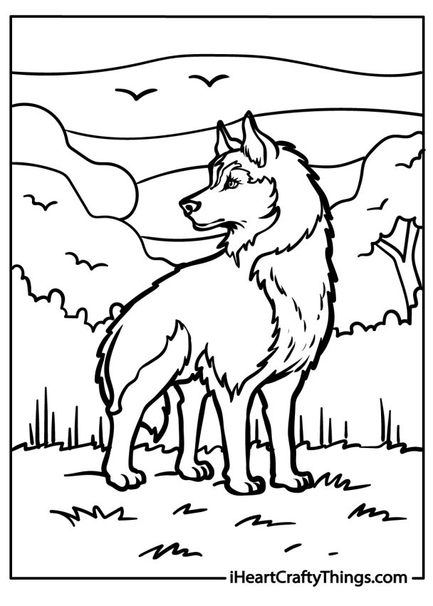 Husky Coloring Pages (100% Free Printables)