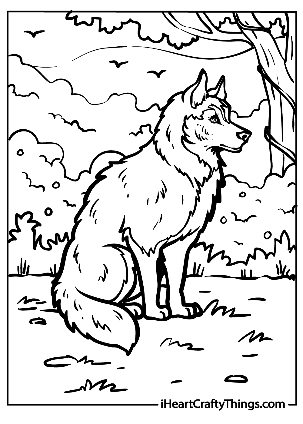 husky coloring sheet free download