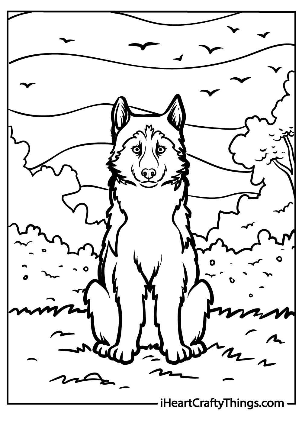 husky coloring sheet for kids free download