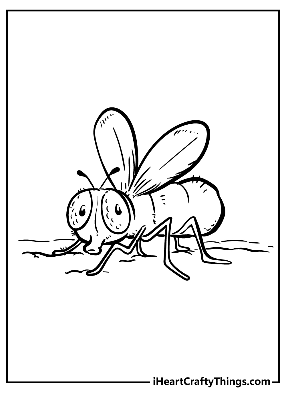 Detailed insect-themed printable coloring pdf featuring little fly with big eyes