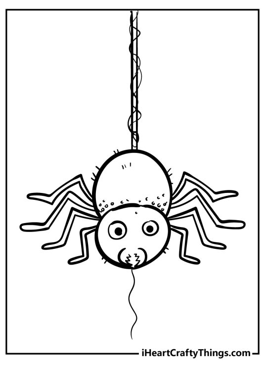 Insect-themed printable picture for children featuring spider suspended in the air