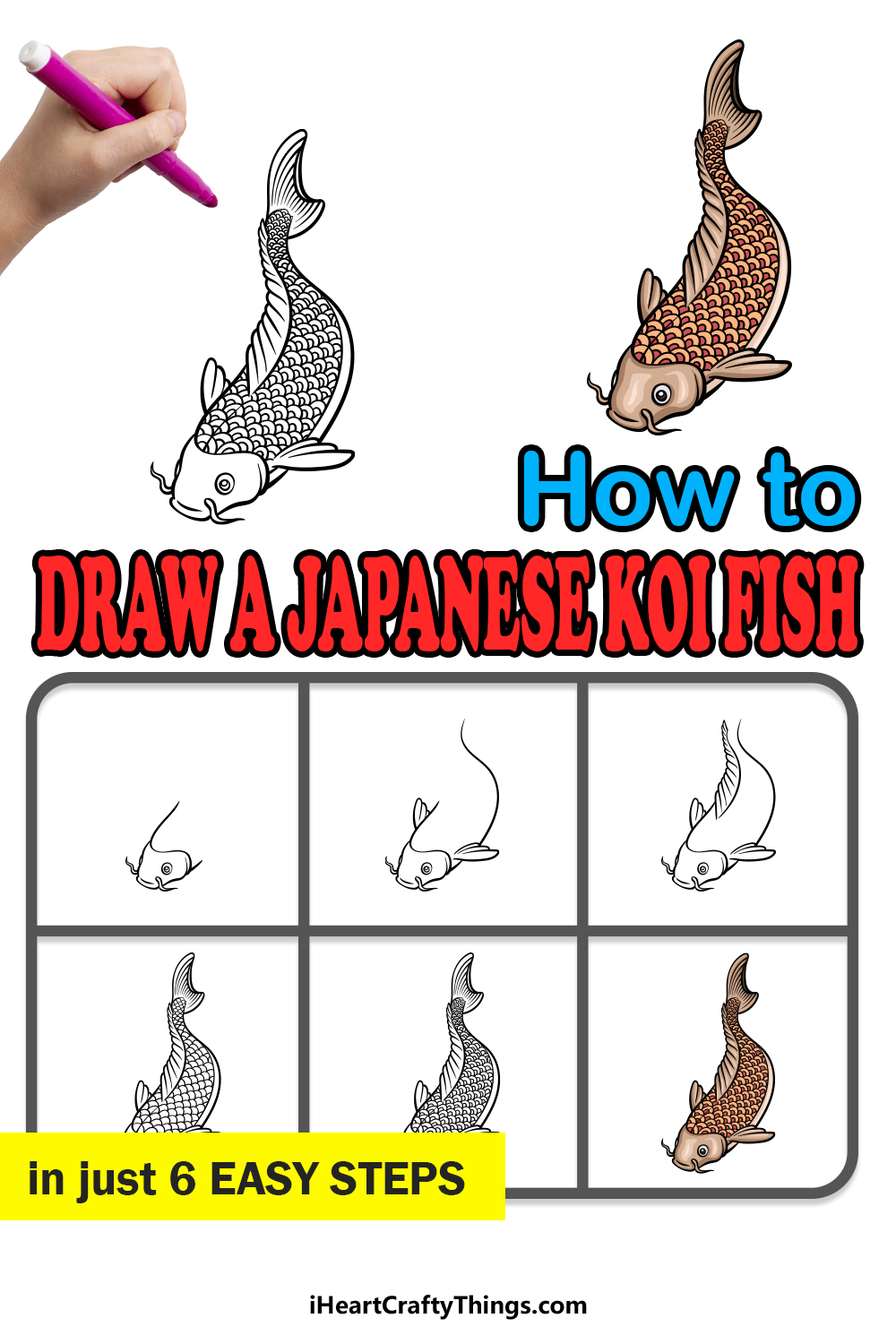 how to draw a Japanese Koi Fish in 6 easy steps