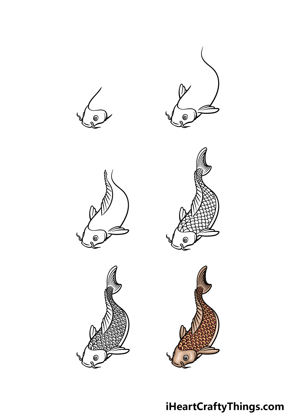 how to draw a Japanese Koi Fish in 6 steps