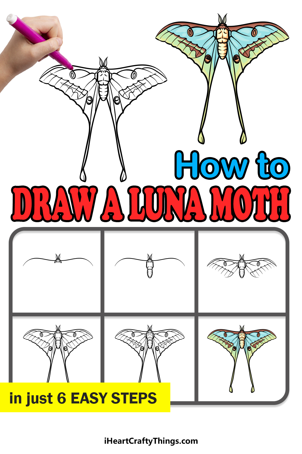 how to draw a Luna Moth in 6 easy step