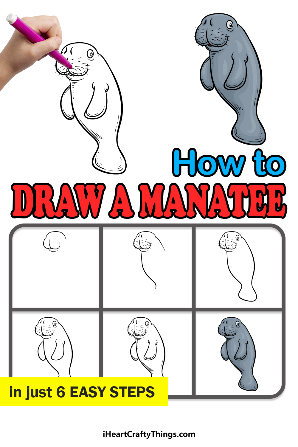 how to draw a Manatee in 6 easy steps