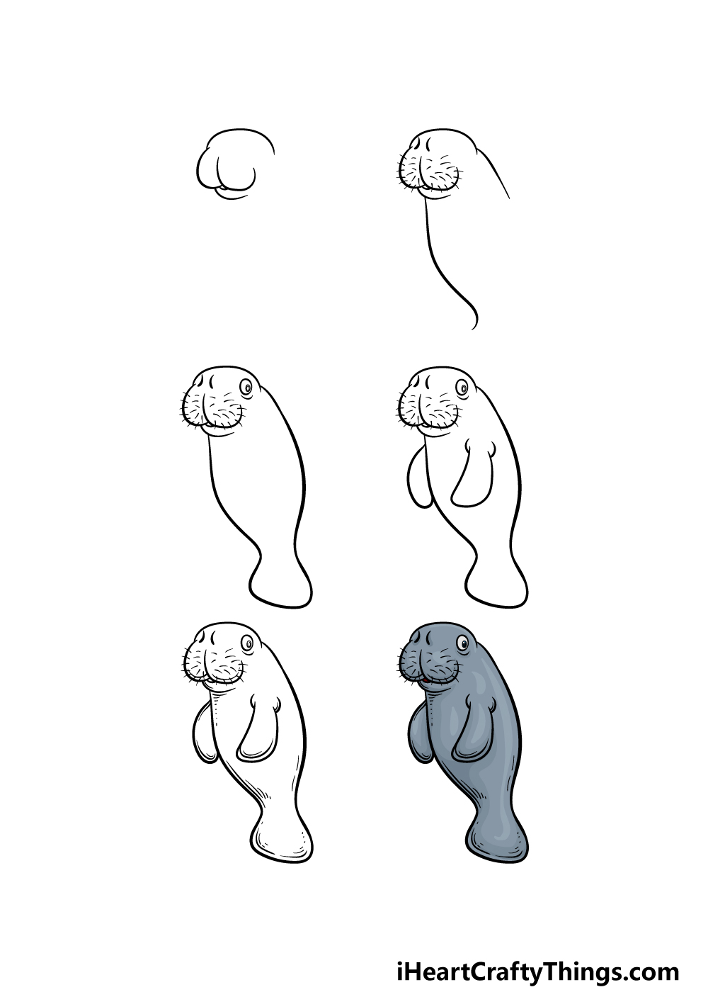 how to draw a Manatee in 6 steps