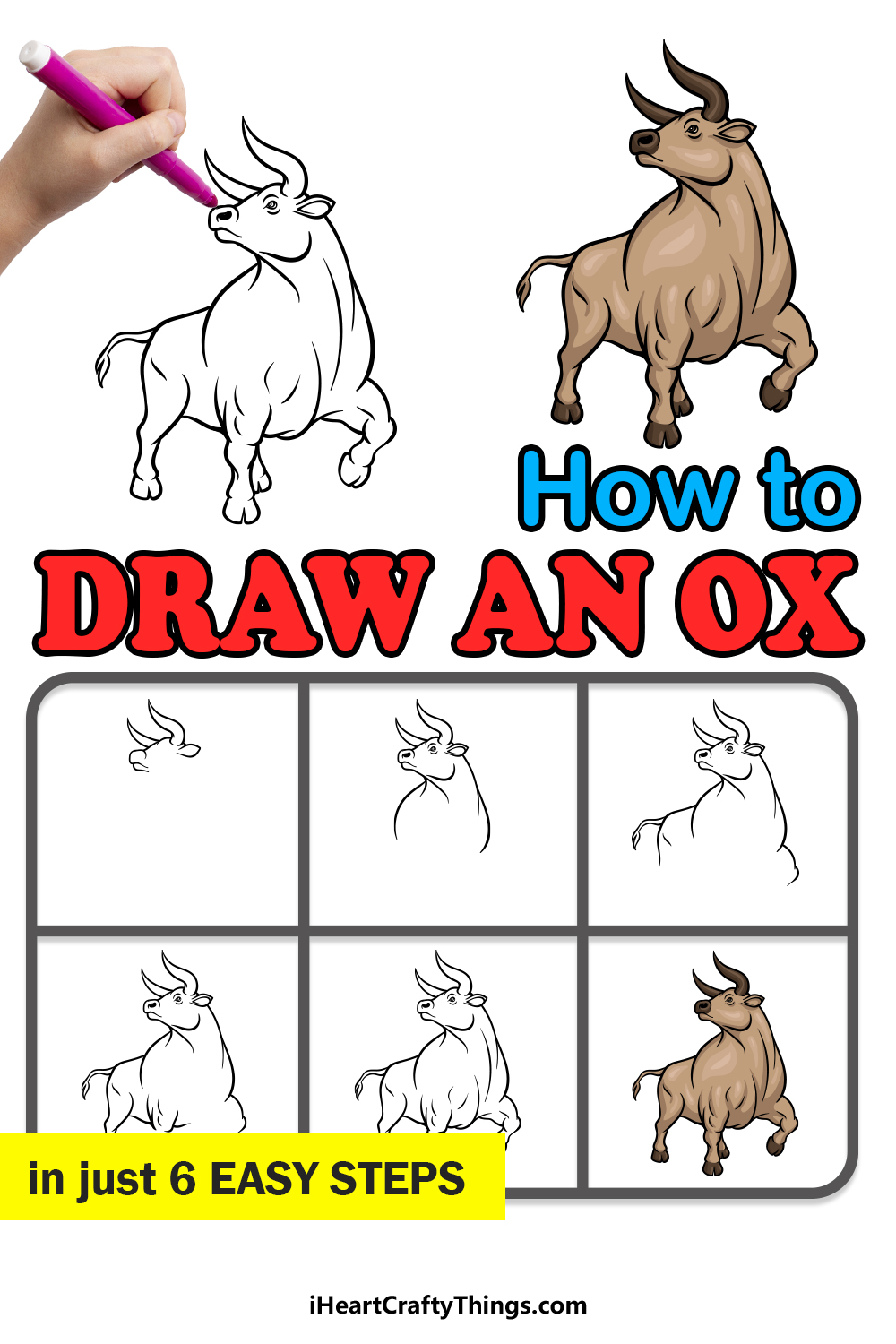 how to draw an Ox in 6 easy steps