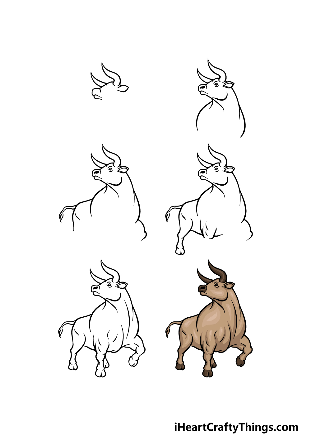 how to draw an Ox in 6 steps