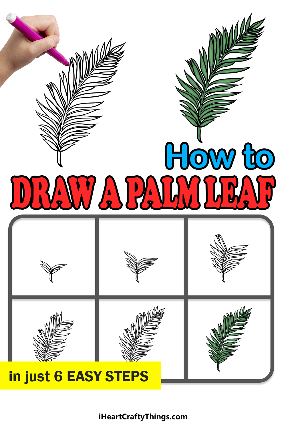 how to draw a Palm Leaf in 6 easy steps