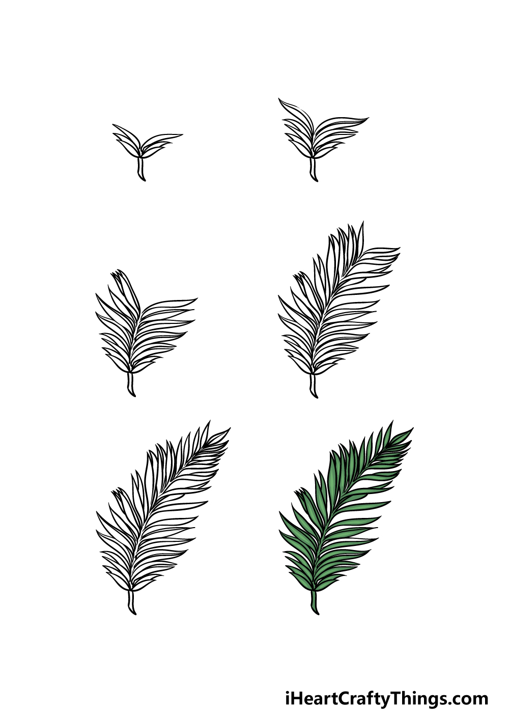 how to draw a Palm Leaf in 6 steps