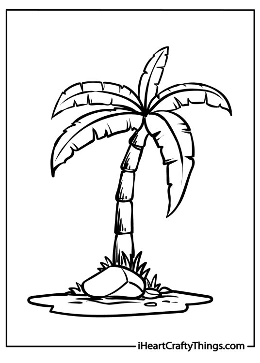 Printable coloring poster featuring realistic palm tree with elongated arching leaves
