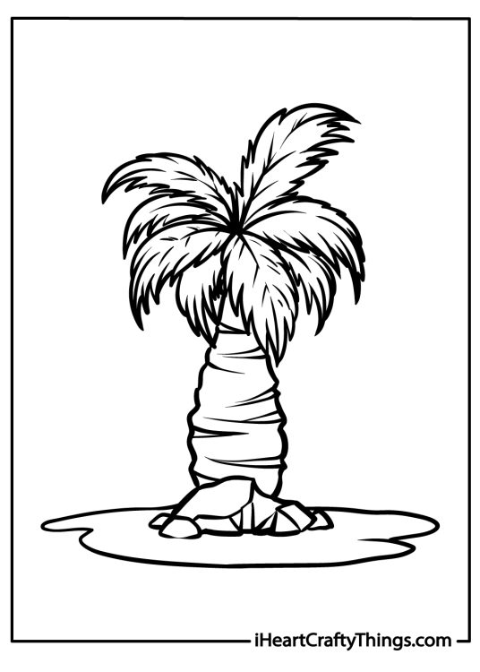 Image featuring sturdy palm tree with thick trunk surrounded by some rocks at the base
