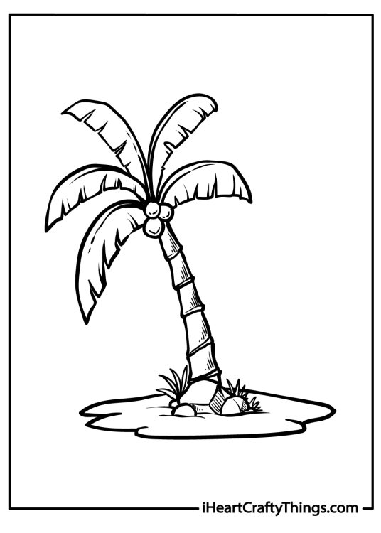 Coloring page for adults presenting realistic tropical palm tree standing tall on a sandy island