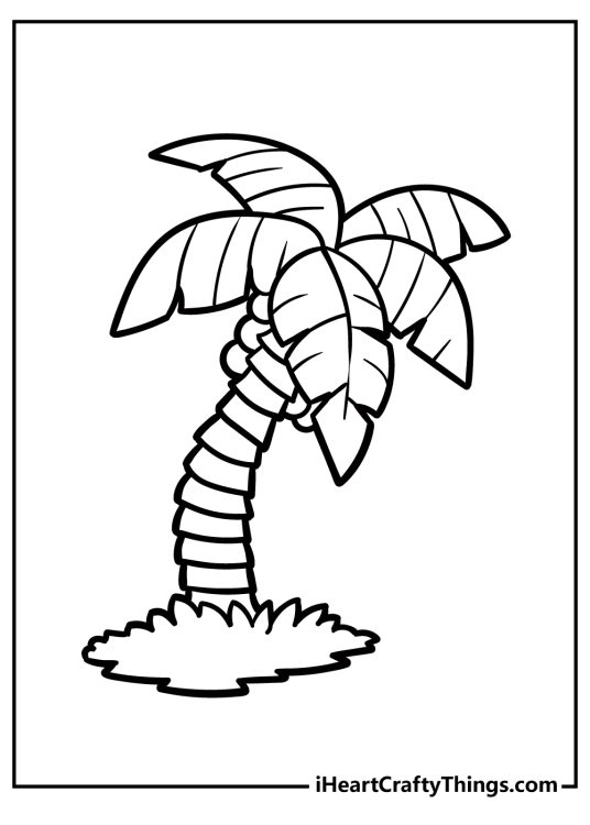 Coloring printable for kids presenting tropical palm tree with coconuts bent to the right side