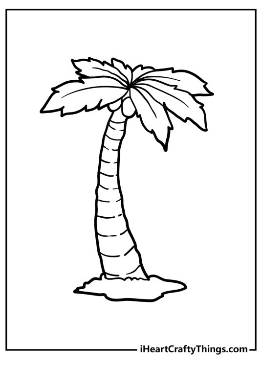 Free printable pdf for children presenting big and tall palm tree with wide leaves