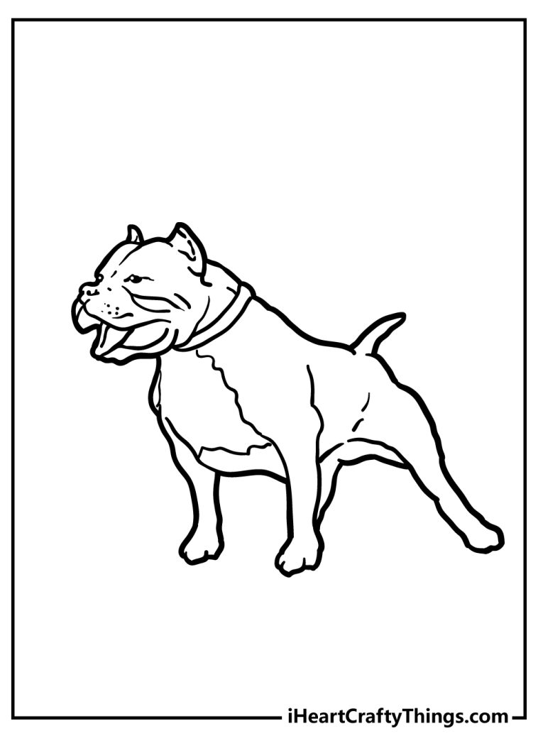 Pitbull Coloring Pages (100% Free Printables)