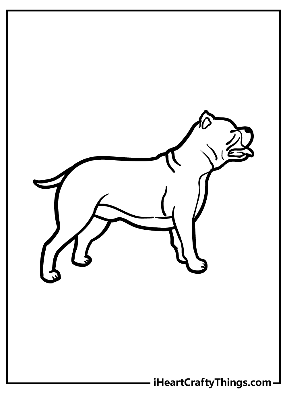 Pitbull Coloring Pages for adults free printable
