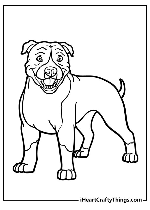 Pitbull Coloring Pages (100% Free Printables)