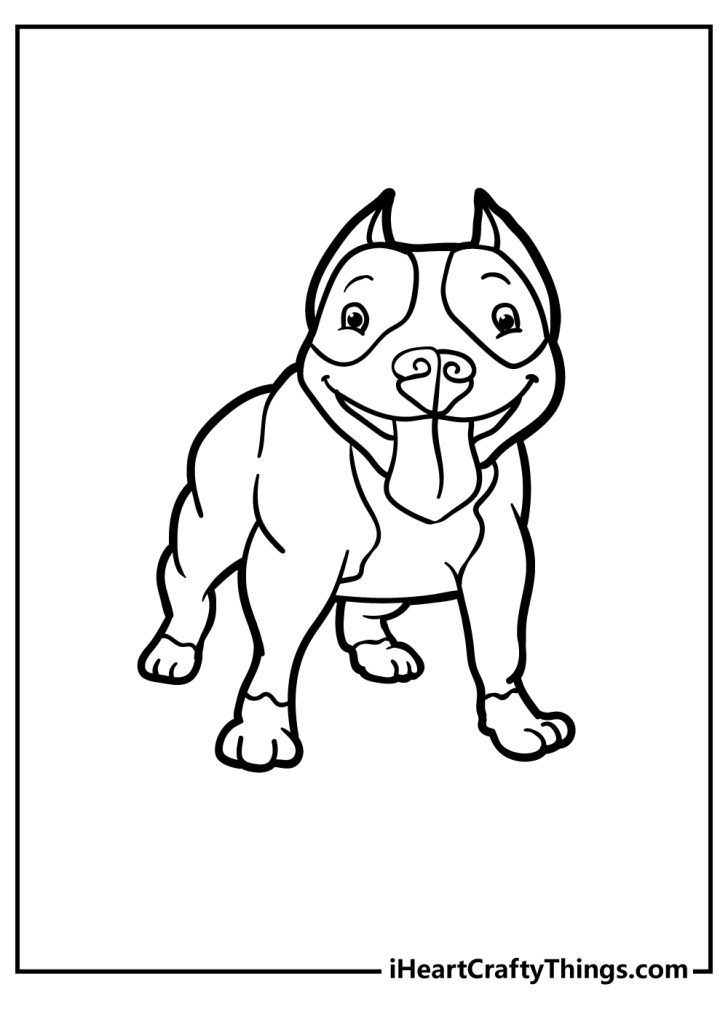 Printable Pitbull Coloring Pages (Updated 2023)