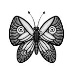 how to draw a Sketch Butterfly image