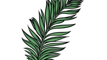 how to draw a Palm Leaf image