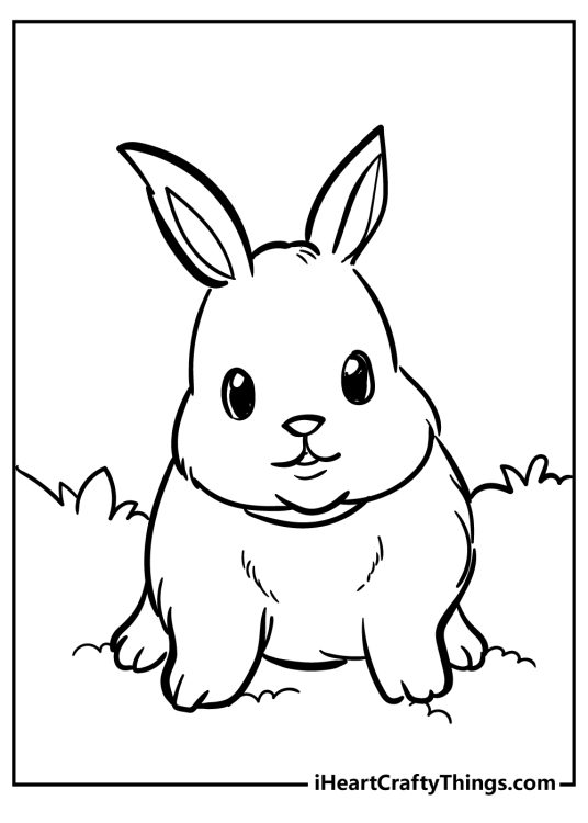 Peter Rabbit-themed printable featuring little fluffy rabbit sitting on th egrass and looking straight ahead
