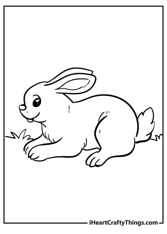 Peter Rabbit-themed picture for kids featuring a side view of a rabbit resting on a meadow