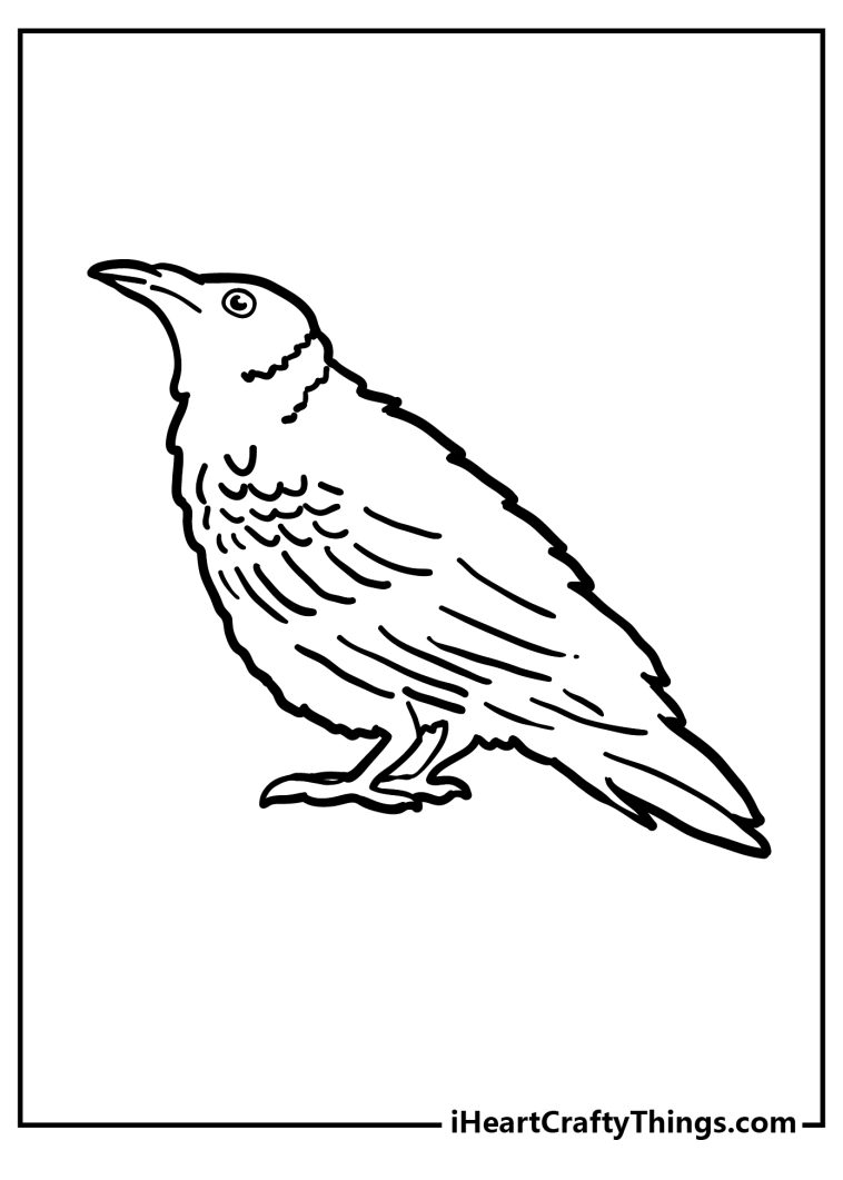 Raven Coloring Pages (100% Free Printables)