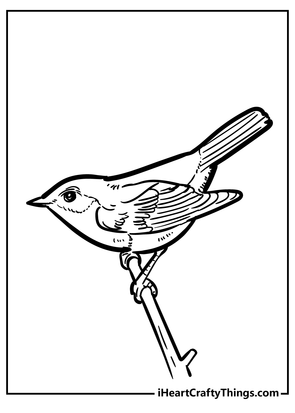 american robin coloring page