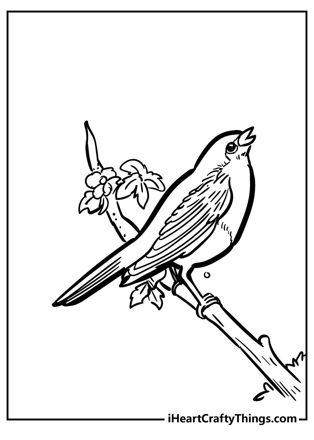 Robin Coloring Pages for preschoolers free printable