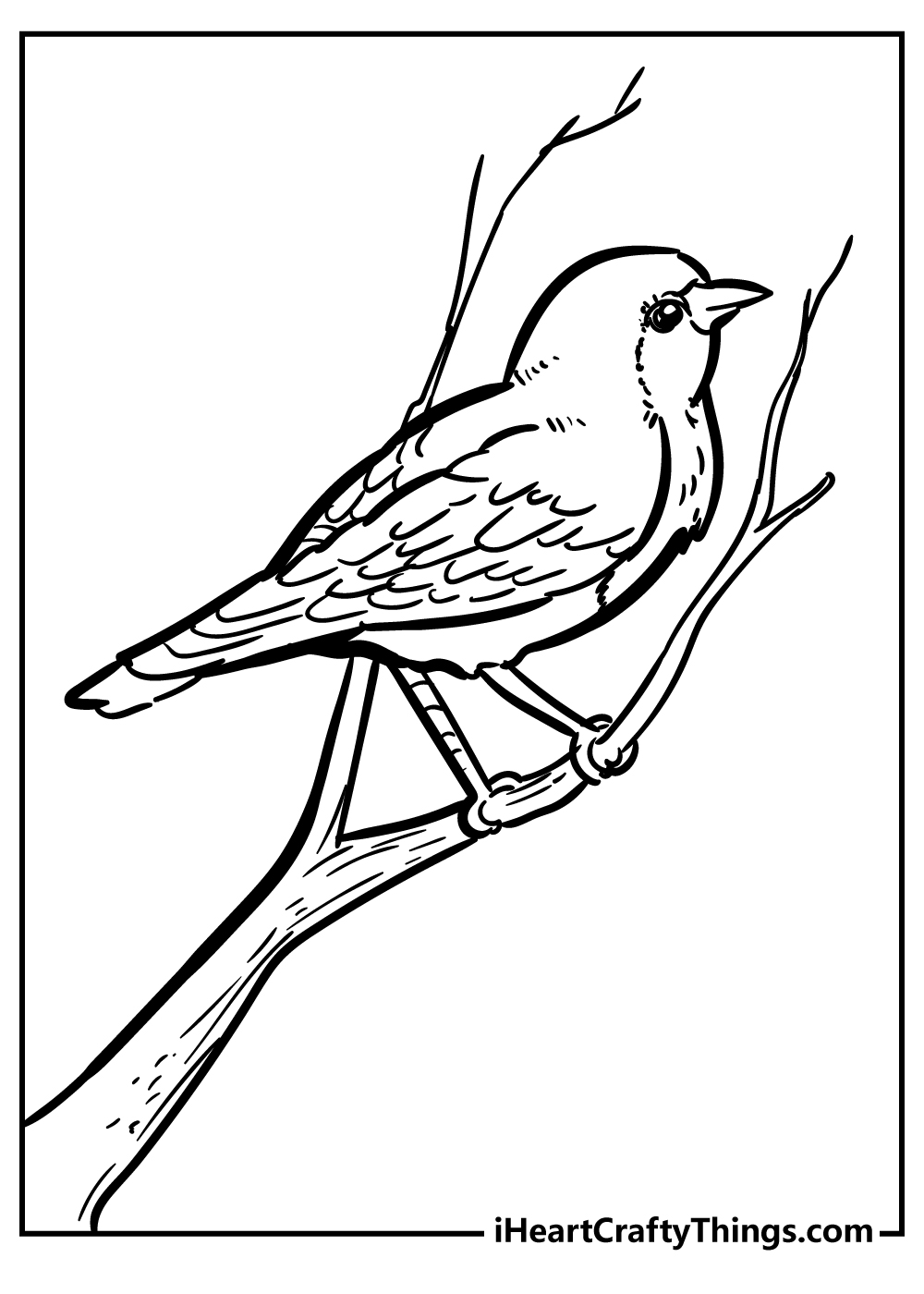 Red Robin Bird Coloring Page