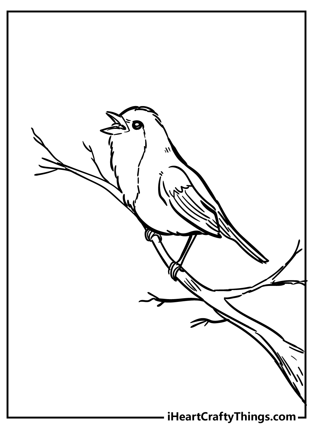 coloring pages of robin red breast crafts