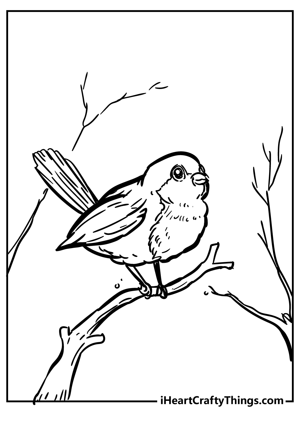 red robin bird coloring page